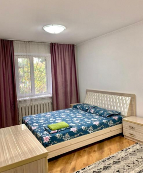 Apartment on Toktogula